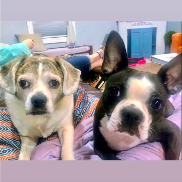 Meet your Posher, Mya - Picture 2 of 13